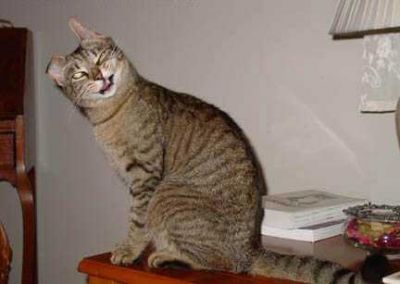 wa lhma9 wlah ita lhm9